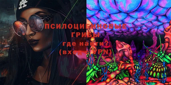 PSILOCYBIN Арсеньев