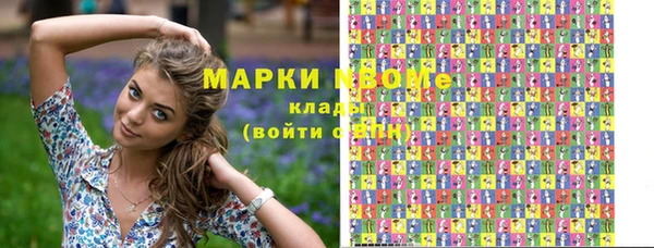 сатива Аркадак