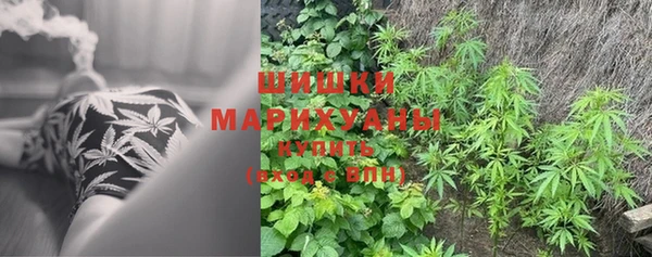 прущие крисы Армянск