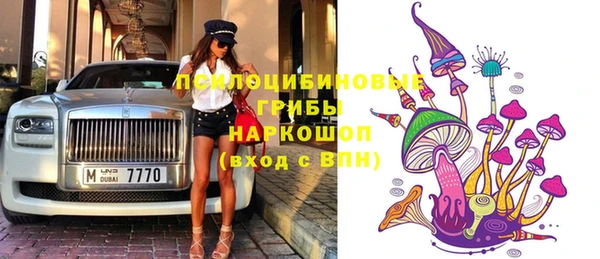 дживик Богородск