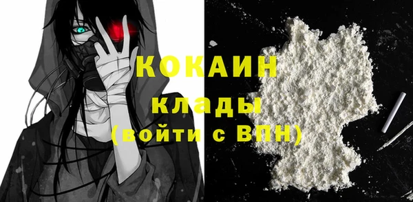 сатива Аркадак
