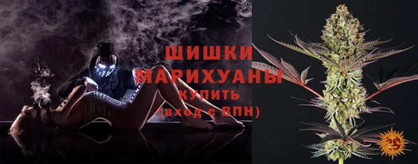 PSILOCYBIN Арсеньев