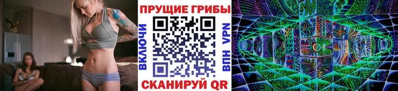 сколько стоит  Судак  ссылка на мегу рабочий сайт  Псилоцибиновые грибы прущие грибы 
